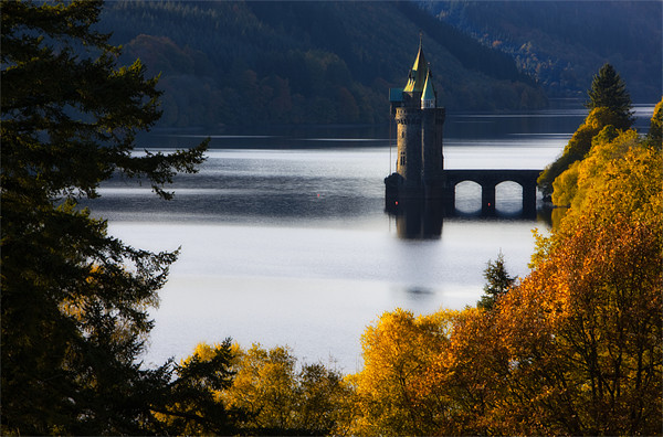 The straining tower at Lake Vyrnwy Picture Board by Rory Trappe