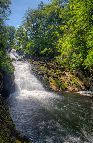 Swallow Falls  Picture Board by Rory Trappe