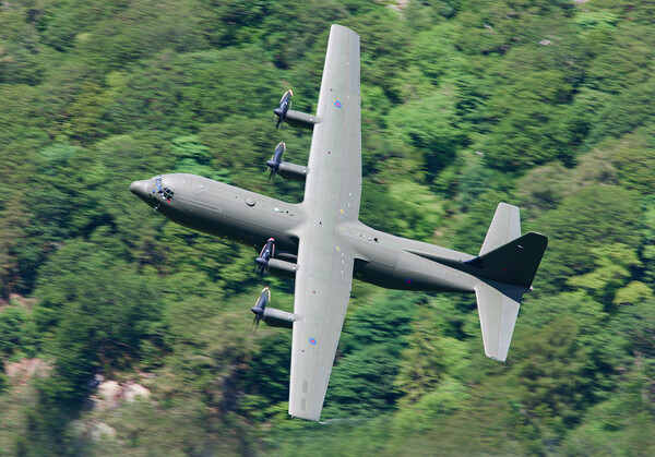 RAF Hercules C-130 Picture Board by Rory Trappe