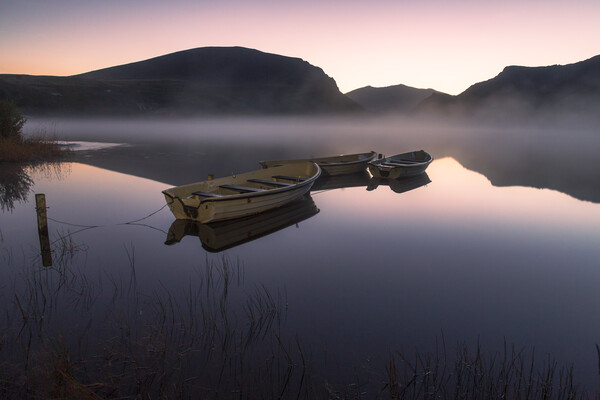 Fishing boats at Llyn Nantlle Picture Board by Rory Trappe