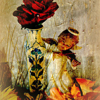 Buy canvas prints of Angelic Roses by Jacqui Kilcoyne