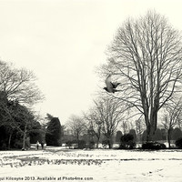 Buy canvas prints of Snowy Day in the Park by Jacqui Kilcoyne