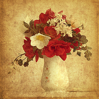 Buy canvas prints of Vase of Flowers.  by Jacqui Kilcoyne