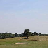 Buy canvas prints of The Golf Course by Jacqui Kilcoyne