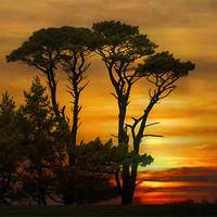 Buy canvas prints of Sunset in Cornwall. by Irene Burdell