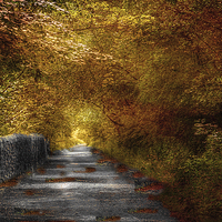 Buy canvas prints of  Priestly Clough  by Irene Burdell