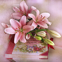 Buy canvas prints of Pink Lilies . by Irene Burdell