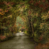 Buy canvas prints of  The Clough by Irene Burdell