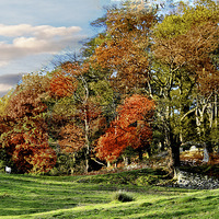 Buy canvas prints of Autumn at Rydal. by Irene Burdell