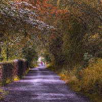 Buy canvas prints of  Priestly Clough by Irene Burdell