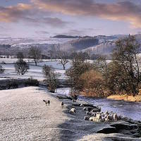 Buy canvas prints of Snow in the Trough. by Irene Burdell