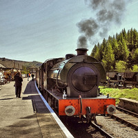 Buy canvas prints of  Steam Train . by Irene Burdell