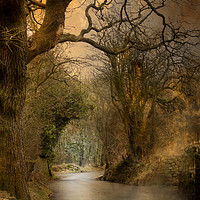 Buy canvas prints of A Country Lane by Irene Burdell