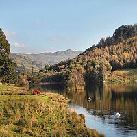 Buy canvas prints of Autumn Rydal Water by Irene Burdell