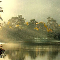 Buy canvas prints of Morning Mist  on the lake . by Irene Burdell