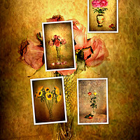 Buy canvas prints of Collage of flowers by Irene Burdell