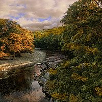 Buy canvas prints of Autum sunlight  by Irene Burdell