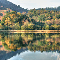 Buy canvas prints of Rydal Water by Irene Burdell