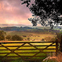 Buy canvas prints of Five Bar Gate  by Irene Burdell