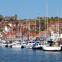 Buy canvas prints of Whitby Yorkshire uk by Irene Burdell