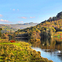 Buy canvas prints of Rydal Water by Irene Burdell