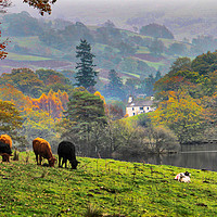 Buy canvas prints of The Lake District Cumbria uk by Irene Burdell