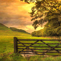 Buy canvas prints of The Five Barred Gate  by Irene Burdell