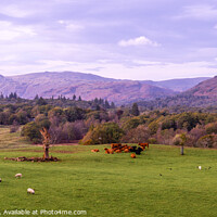 Buy canvas prints of View from Wray Castle, Cumbria by Richie Miles