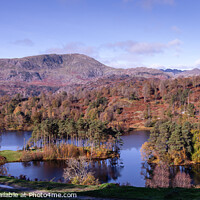 Buy canvas prints of Tarn Howes Cumbria by Richie Miles