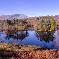 Buy canvas prints of View of Tarn Howes with reflection in water by Richie Miles