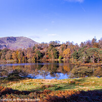 Buy canvas prints of View of Tarn Howes Lake District by Richie Miles