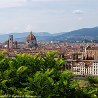 Buy canvas prints of View of Florence by Richie Miles