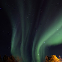 Buy canvas prints of Northern Lights Finland  by Richie Miles