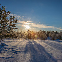 Buy canvas prints of Snowy landscape in Karesuvanto Finland  160 miles  by Richie Miles