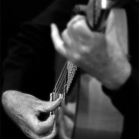 Buy canvas prints of Guitar Player by Tim O'Brien