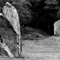 Buy canvas prints of Standing Stones at Black Park by Tim O'Brien