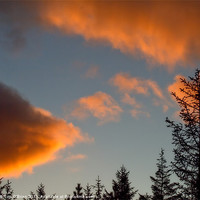 Buy canvas prints of Red Clouds by Tim O'Brien
