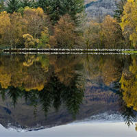 Buy canvas prints of Glencoe Loch Mountain and Trees by Tim O'Brien