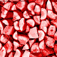 Buy canvas prints of Red Logs by James Hogarth