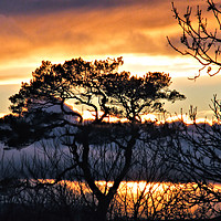 Buy canvas prints of Ayrshire Sunset by James Hogarth