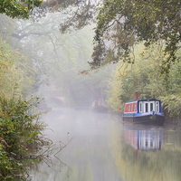 Buy canvas prints of  The Basingstoke Canal by Steve Liptrot