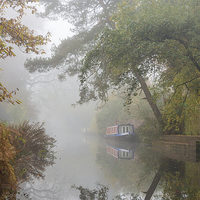 Buy canvas prints of  Autumn on the Basingstoke Canal by Steve Liptrot