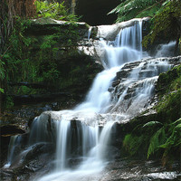 Buy canvas prints of Blue Mountains Waterfall. Australia by David McLean