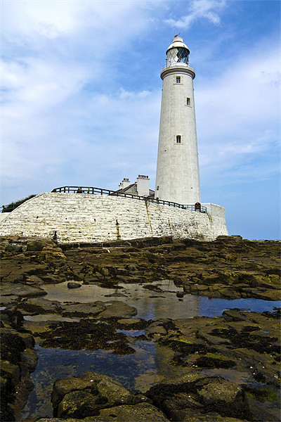 St. Mary's Lighthouse Picture Board by Kevin Tate