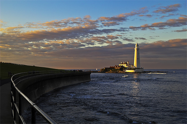 Sunset at St Mary's Lighthouse Picture Board by Kevin Tate