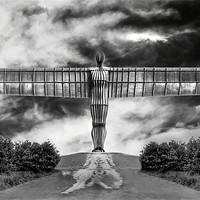 Buy canvas prints of Angel in Black & White by Kevin Tate