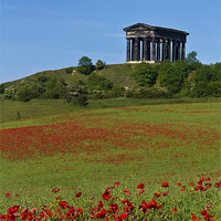 Buy canvas prints of Penshaw Monument Poppies by Kevin Tate