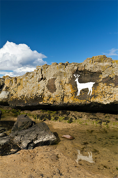 Stag Rock Picture Board by Kevin Tate