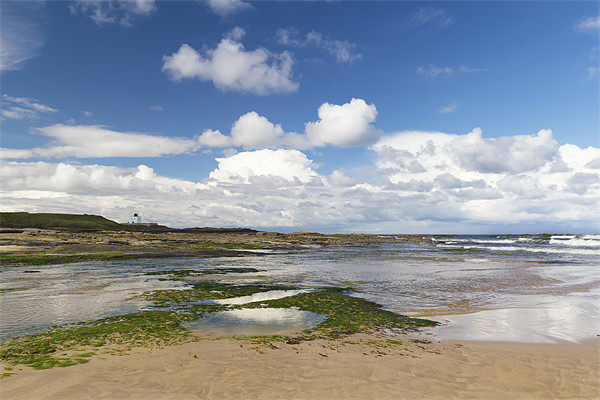 Bamburgh Shoreline Picture Board by Kevin Tate