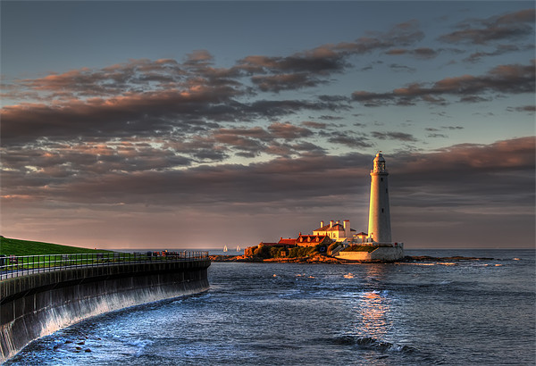 St Marys Lighthouse at Sunset Picture Board by Kevin Tate